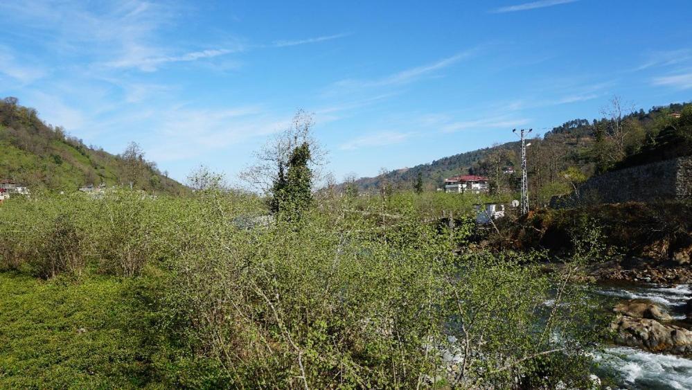 Yesil Dues Tatil Koeyue فينديكلي المظهر الخارجي الصورة