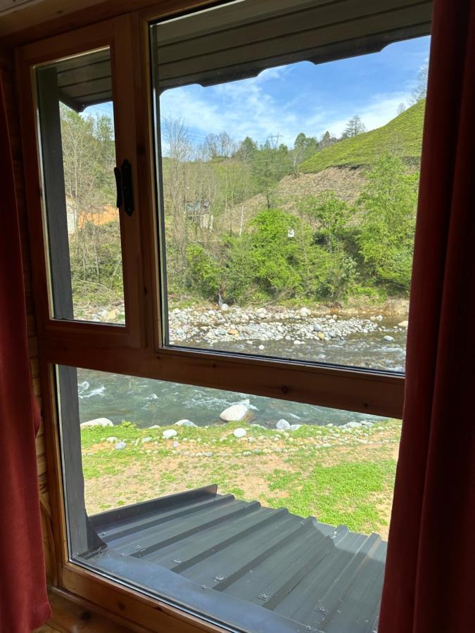 Yesil Dues Tatil Koeyue فينديكلي المظهر الخارجي الصورة